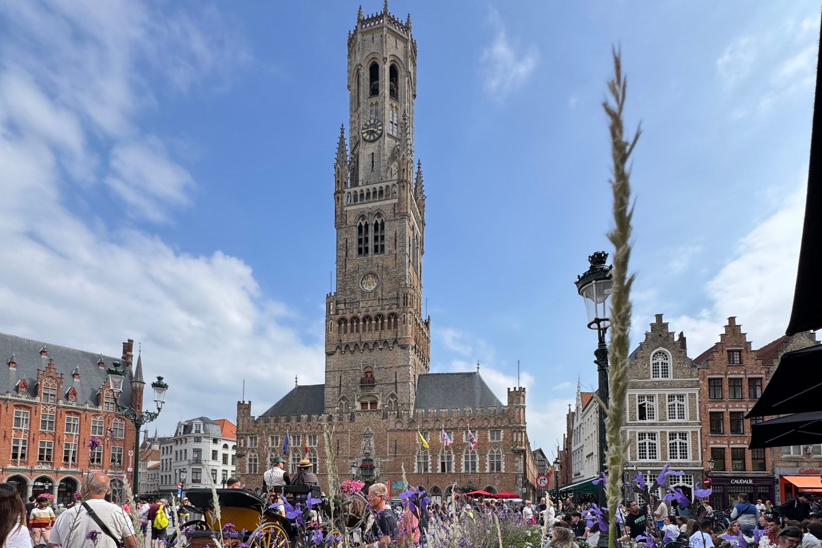 The Belfry of Bruges seen across purple flowers on the Markt