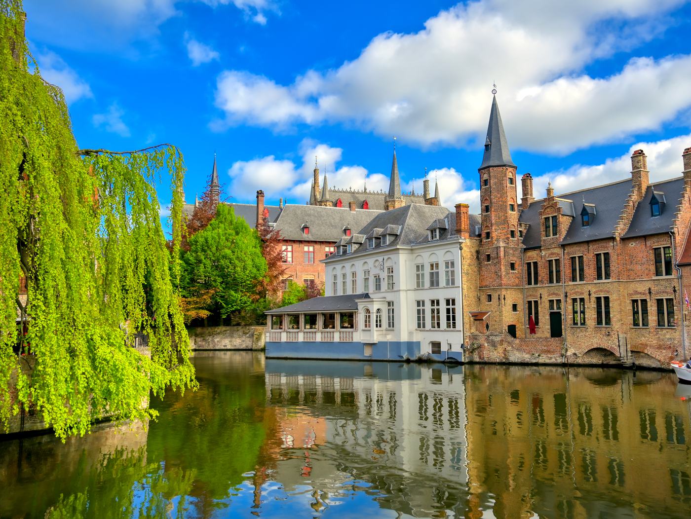 The Rozenhoedkaai in Bruges with a weeping willow and brick houses reflected in the canal